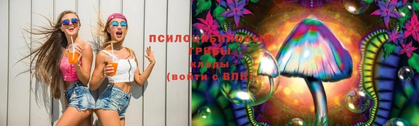 mdpv Михайловск