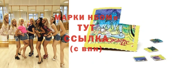 стафф Медногорск