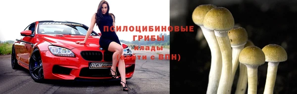 mdpv Михайловск