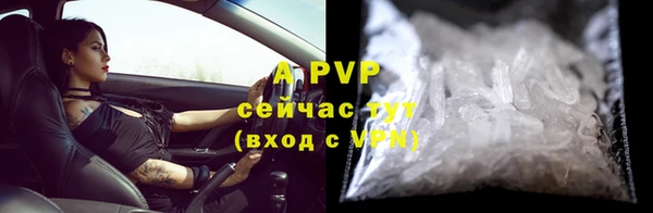 стафф Медногорск