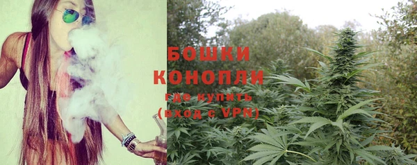 дурь Мегион