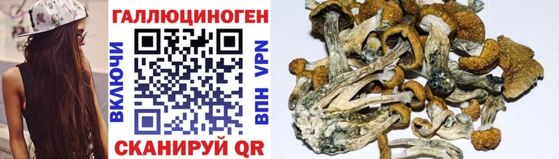 Псилоцибиновые грибы мицелий  Лакинск 